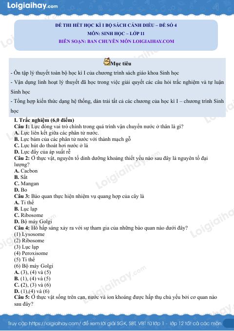 Đề thi học kì 1 Sinh 11 Cánh diều - Đề số 4
